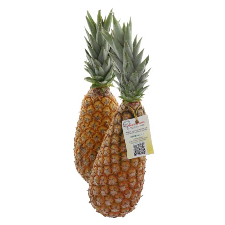 ANANAS SELECT BOUTEILLE 12KG